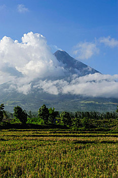 thống kê xổ số long an