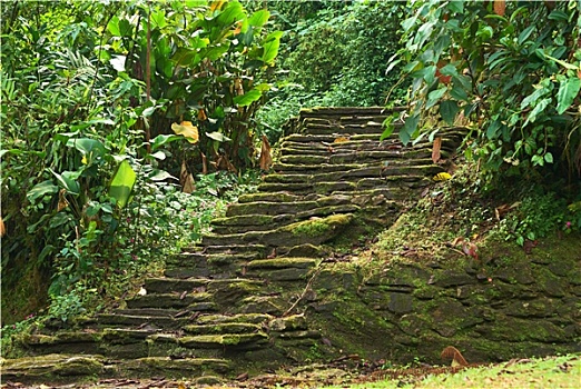kết quả xổ số chấm nét