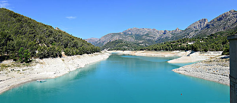 lo rong bach kim