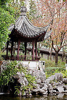 soi cau lo bach thu mien phi