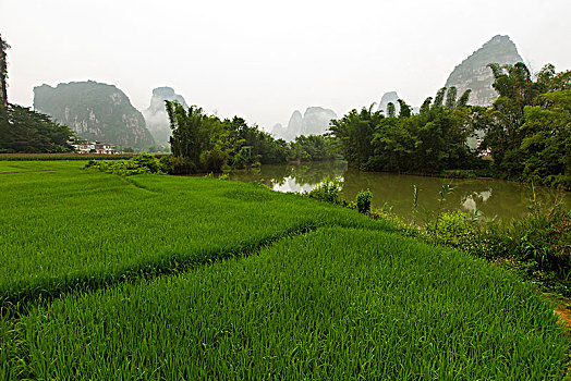 cầu soi miền bắc