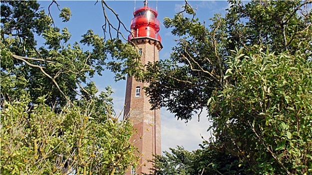 soi cau bach kim