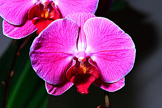 du doan xs khanh hoa hom nay