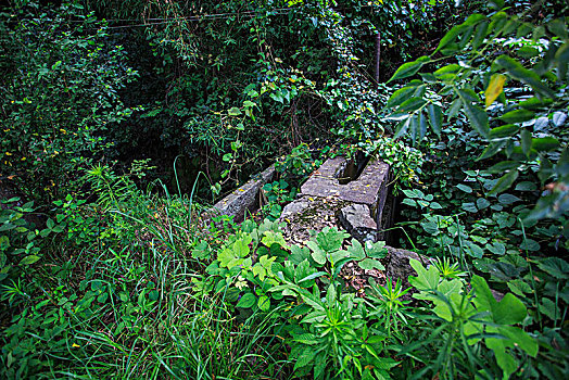 soi cầu ăn thông