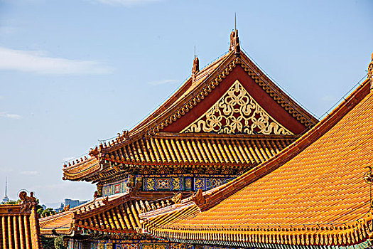soi cau bach thu lo khung 3 ngay