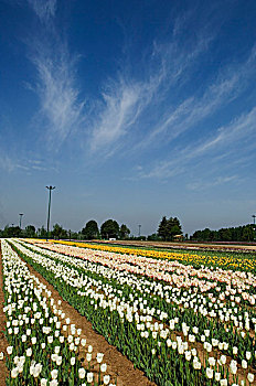 thống kê xổ số vĩnh long