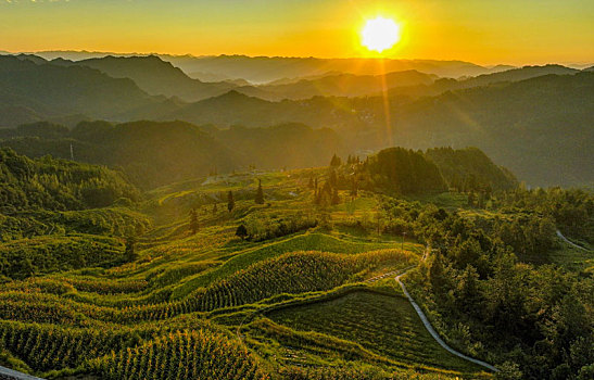 thống kê kqxsmb