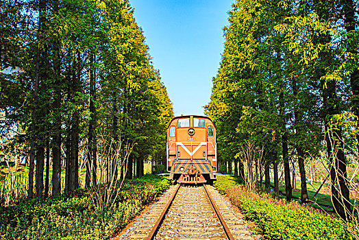 soi cau 365